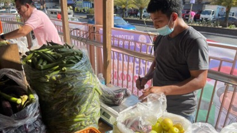 Kadiwa Ng Pangulo Generates PHP100 Thousand Income For Albay Farmers