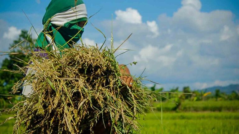 National Nutrition Council Cites 3 Priority Actions To Eliminate Hunger