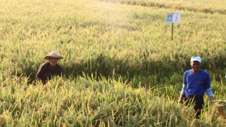 Farmers’ Debt Condonation Bill To Boost Production, Food Security