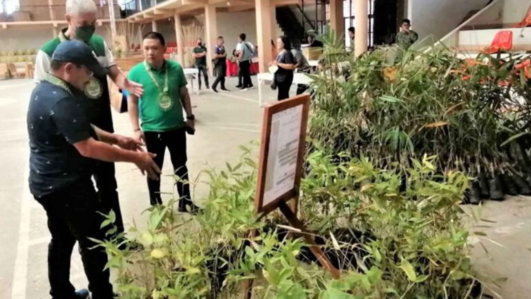 Southern Negros Occidental Town Poised To Become Bamboo Hub