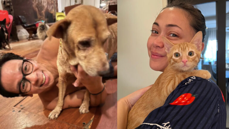 Love Knows No Breed: How Jodi Sta. Maria And Kim Atienza Promote Care For Stray Animals