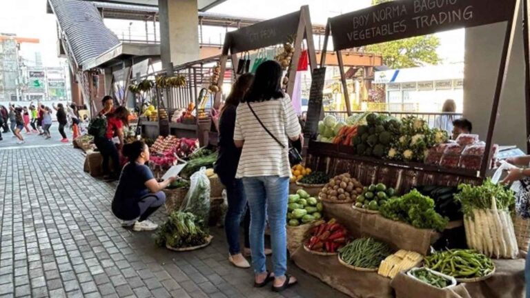 Government Agencies, Mall Chain Link Pangasinan Farmers To Customers