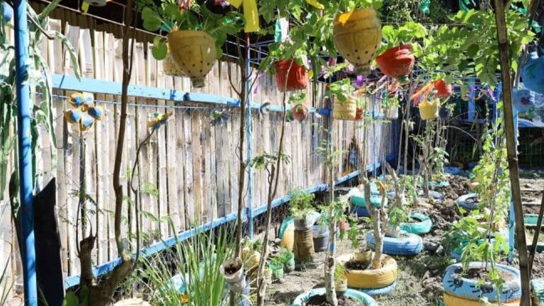 Urban Gardening Eyed Vs. El Niño