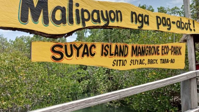 Mangrove Eco-Tourism Project Uplifts Lives Of Sagay Island Folk