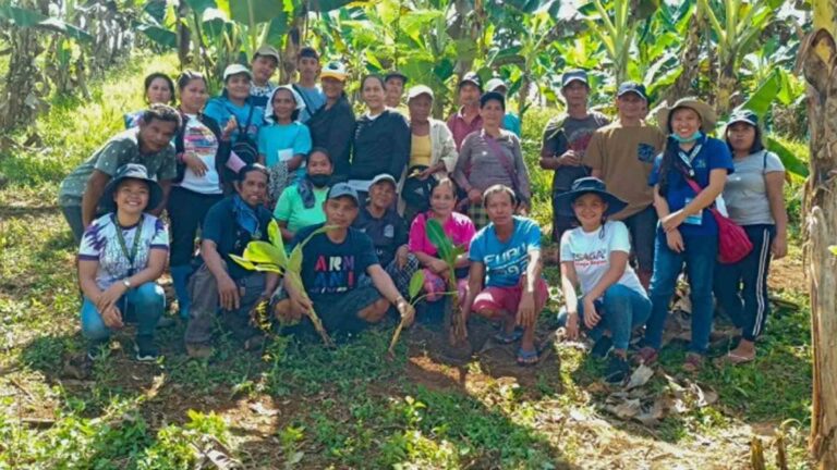 Department Of Agriculture Trains Banana Farmers In 3 Caraga Towns On Production