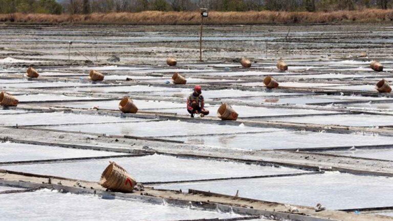 House Panel Approves Salt Industry Development Bill