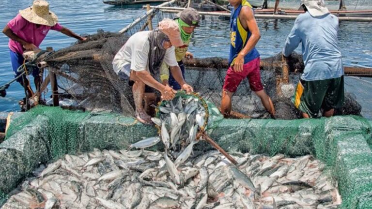 House Bill Seeks Monthly Fuel Subsidy For Municipal Fisherfolk