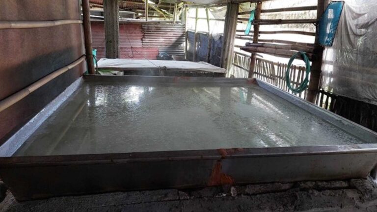 Shared Service Facilities To Enhance Salt Making In Antique