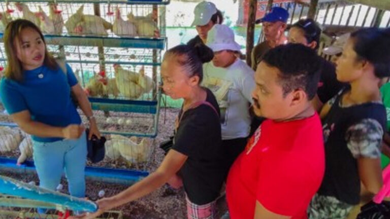Surigao Del Norte Farmers Get Project Grant To Boost Egg Production