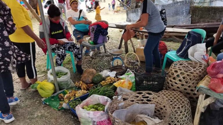 DTI Rolls Out B2B App For Farmers In Conflict Areas