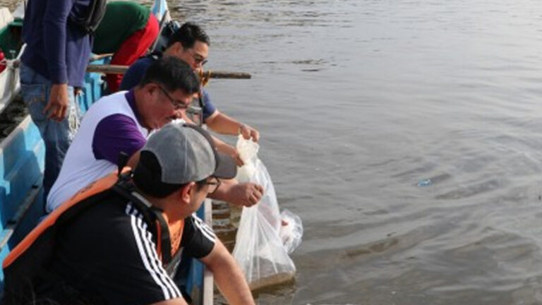 BFAR Repopulates Tarlac, Pampanga Rivers With 120K Fingerlings