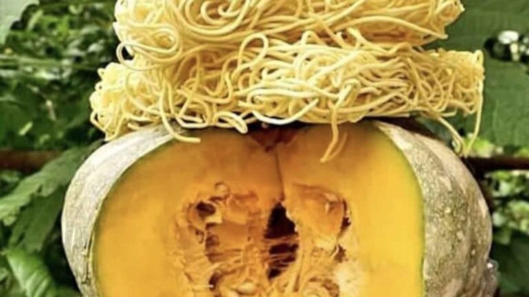 North Cotabato Town Seeks DOST Help On ‘Kalabasa Noodles’ Processing