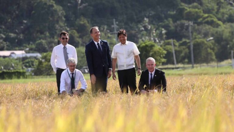 Rice Congress To Tackle Emerging Threats To Productivity
