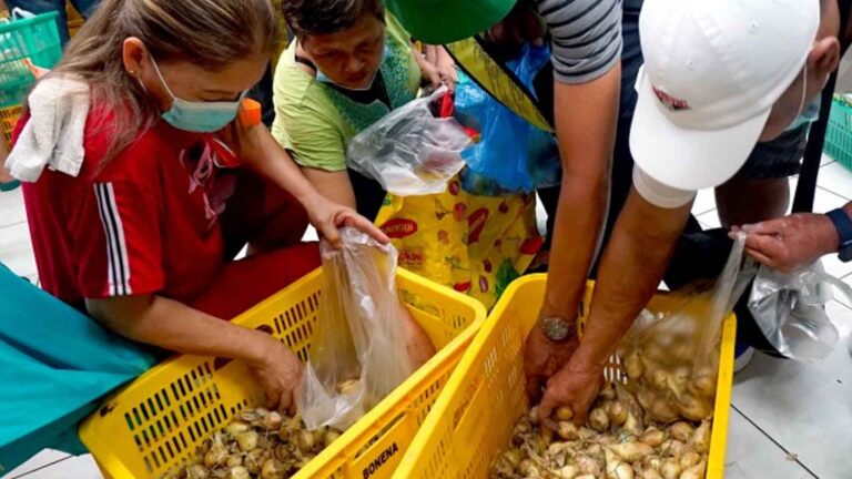 Department Of Agriculture Eyes White Onion Importation This Month