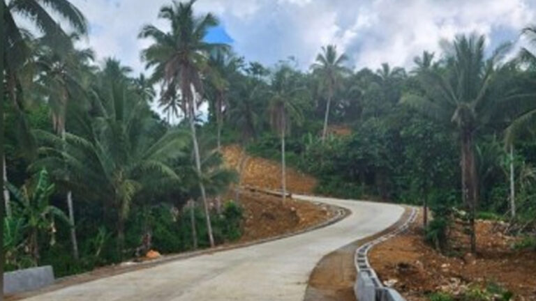 Foreign-Funded Rural Road To Boost Coconut Industry In Leyte