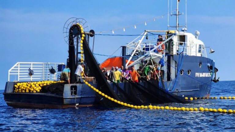 BFAR Vessel Test Expedition In Northern Samar Yields 1.5 Tons Of Tuna