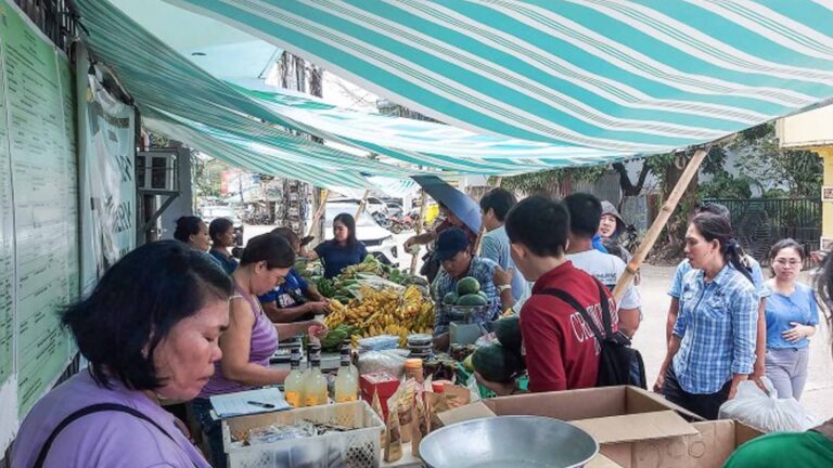 Masbate Farmers Earn PHP627 Thousand In DAR’s Agri Fair Project