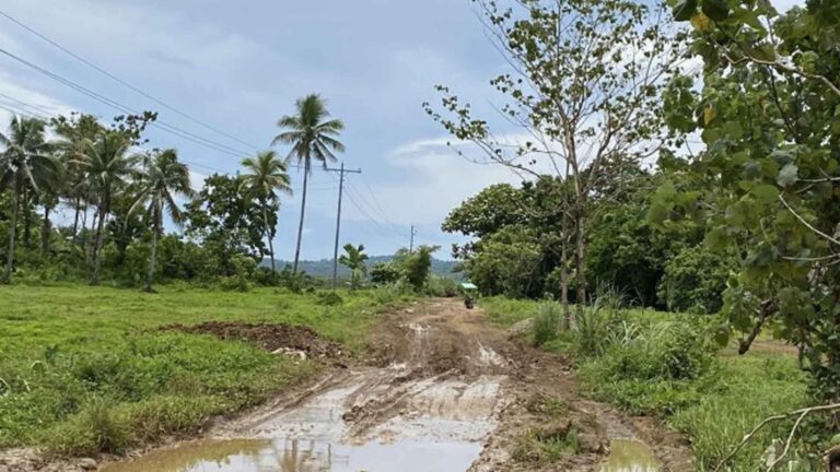 New Eastern Samar Road Seen To Curb Insurgency, Poverty