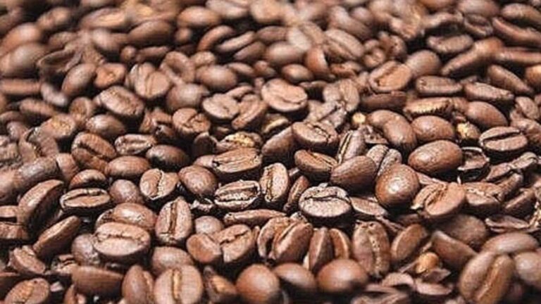 Processing Facility Seen To Boost Coffee Industry In Laguna Town