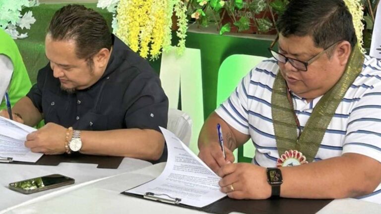 NFA, Albay Province To Buy Palay At Higher Price