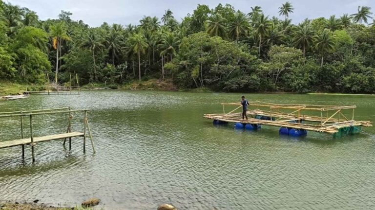 Rehabilitated Dam To Boost Fish Production In Sorsogon