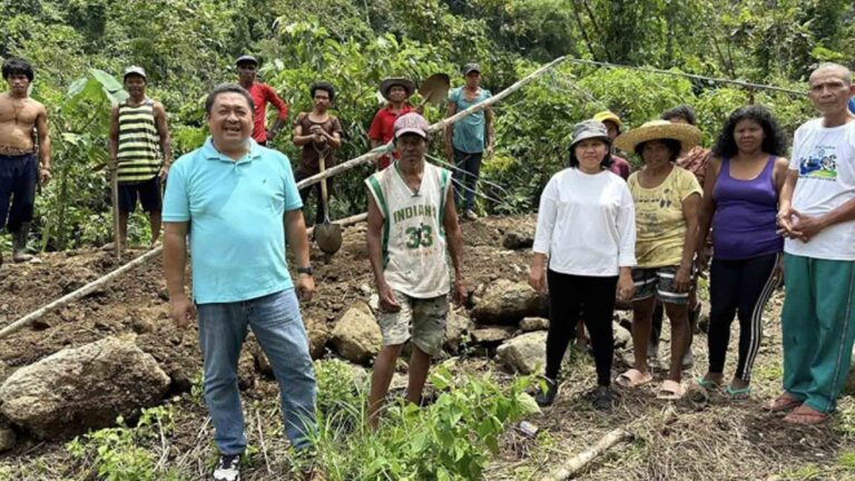 Conflict-Affected IP Village Ventures Into Vegetable Farming