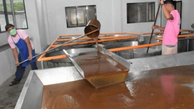 Government-Funded Muscovado Plant In Negros Occidental To Benefit 382 Households