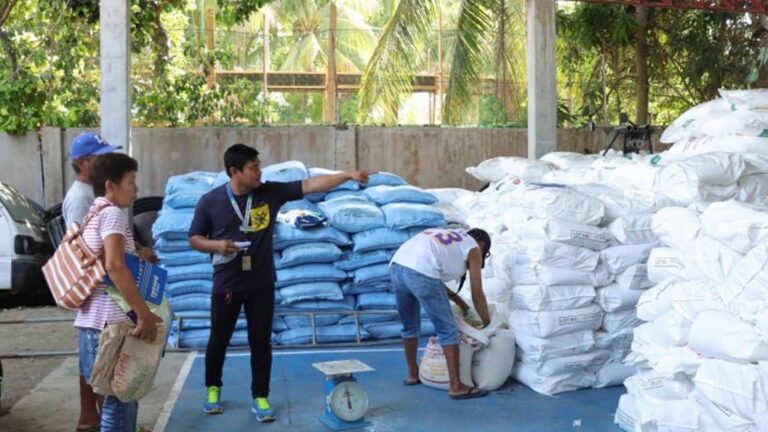 Over 2K Batac City Farmers Get Free Palay Seeds