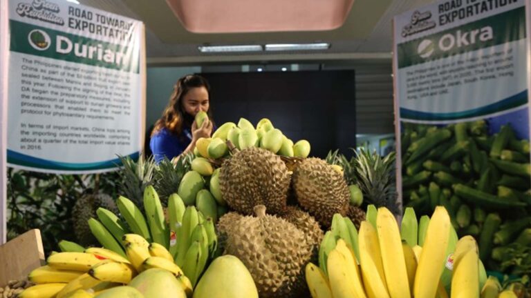 Small, Backyard Farms Key To Food Security, Says DA Official