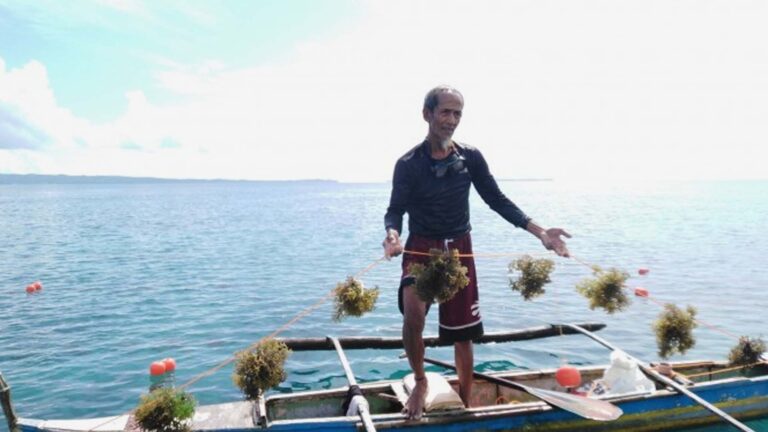 Party-List Solon To Prioritize Welfare Of Farmers, Fisherfolk