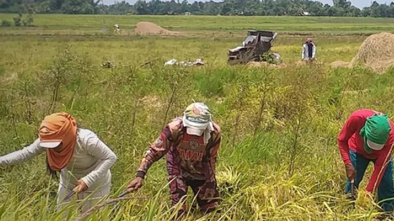 Bill On Agri Pension Fund To Benefit 9.7M Farmers, Fisherfolk