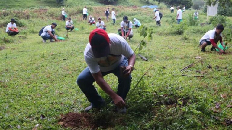 Youth Urged To Continue Forest Protection
