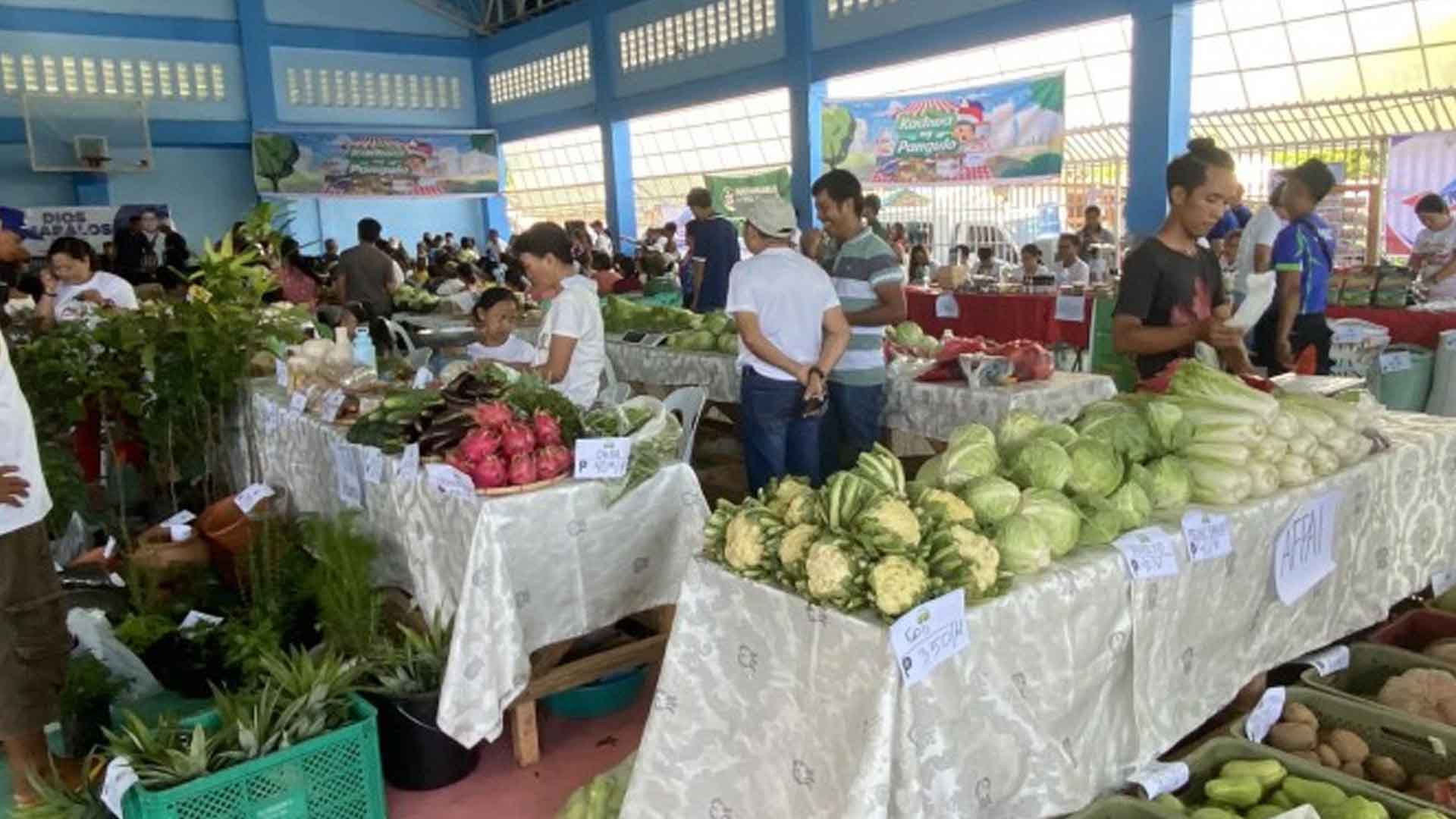 7 ‘Super Health Centers’ To Serve Remote Areas In Albay