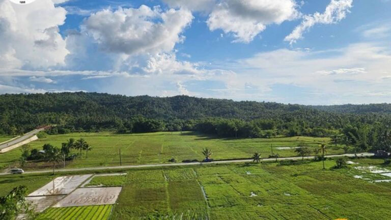 Department Of Agriculture Expands Soil Rejuvenation Program In Eastern Visayas