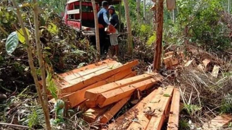 Palawan Launches App For Reporting Environmental Violations