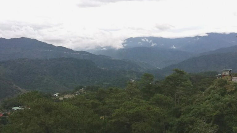 Senator Legarda To DENR: Use Environmental Laws To Maximize Mandate