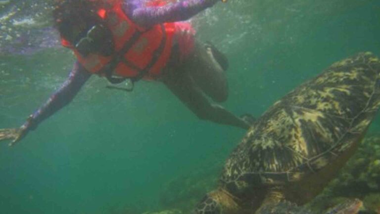 PH Tourism: Gaining International Recognition, Pulling Inbound Travelers