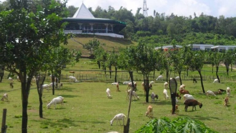 Iloilo Bats For More DOT-Accredited Farm Tourism Sites