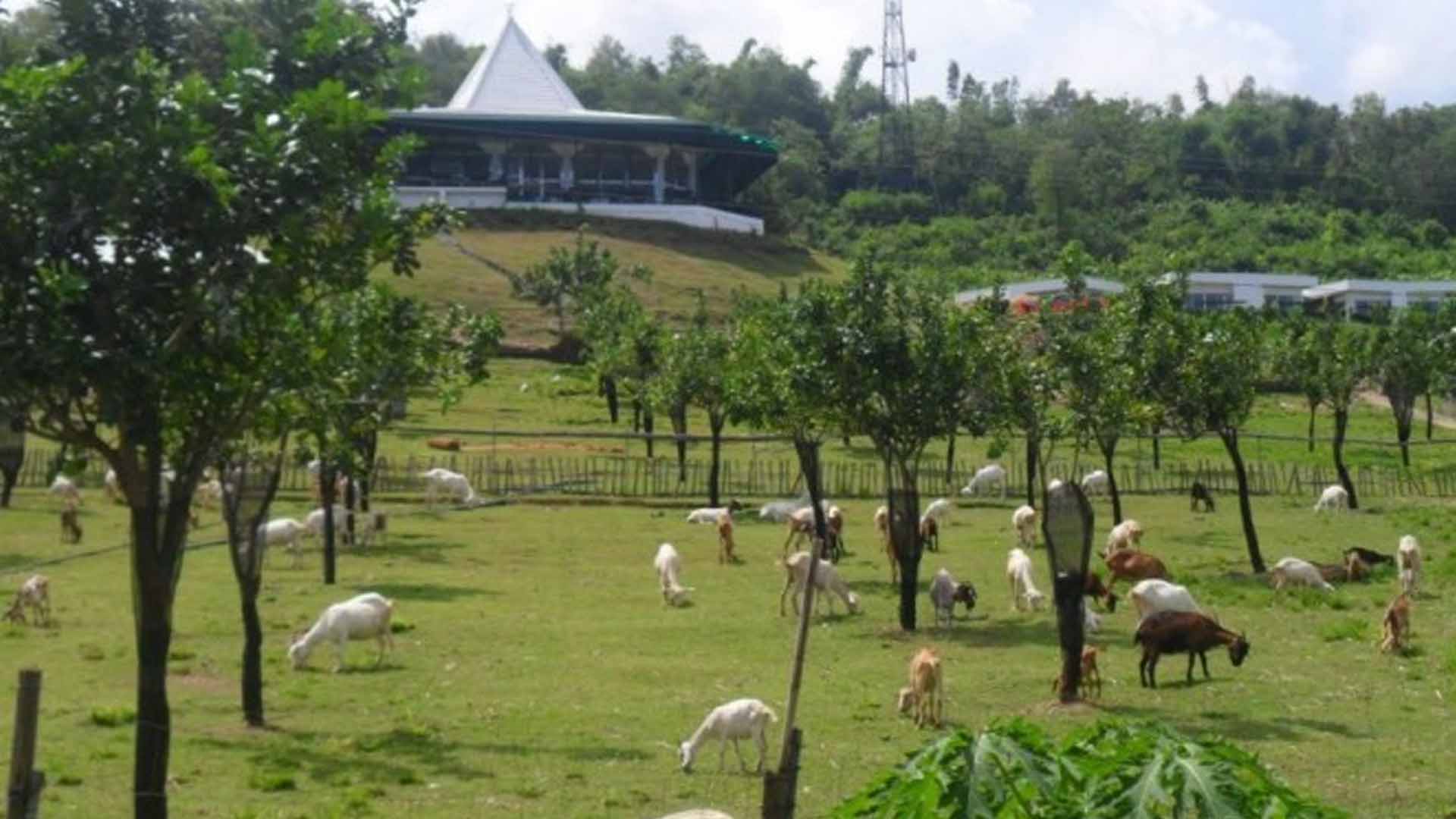 Iloilo Bats For More DOT-Accredited Farm Tourism Sites