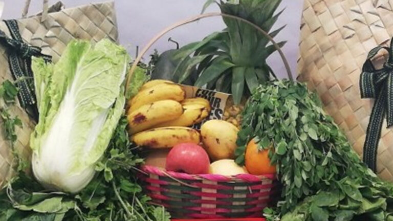 Laguna Highlights Affordable Diet On Nutrition Month