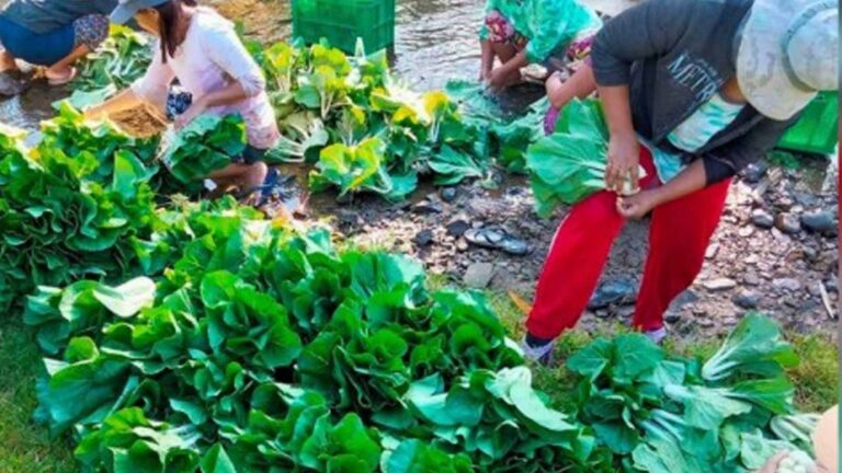 Eastern Visayas Joins Drive For Affordable Healthy Diet