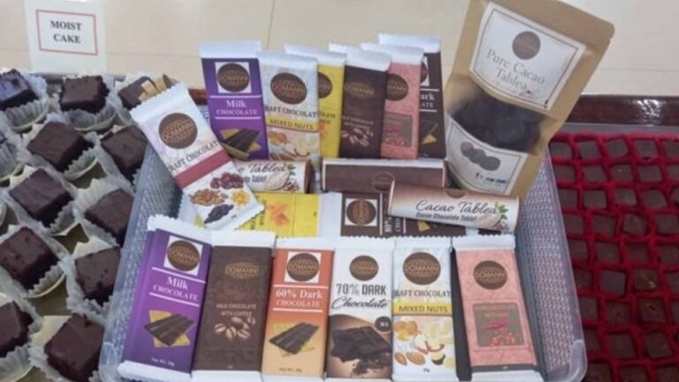 Pangasinan Town Pushes Development Of Local Cacao Industry