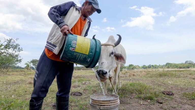 Water Resources Management Office Measures To Address El Niño Out Soon