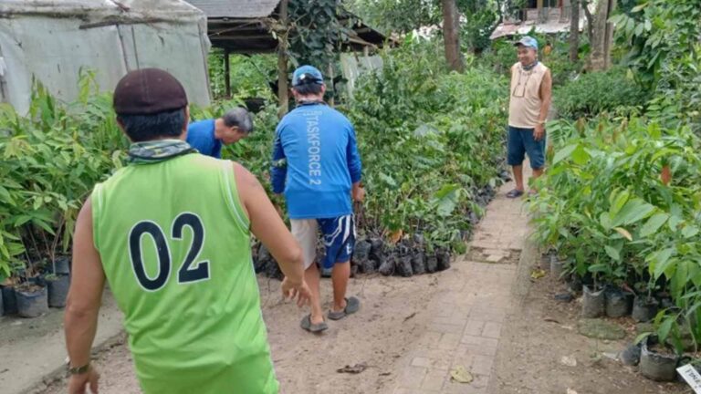 Over 3K Seedlings To Turn Iloilo Airport Gateway ‘Green’