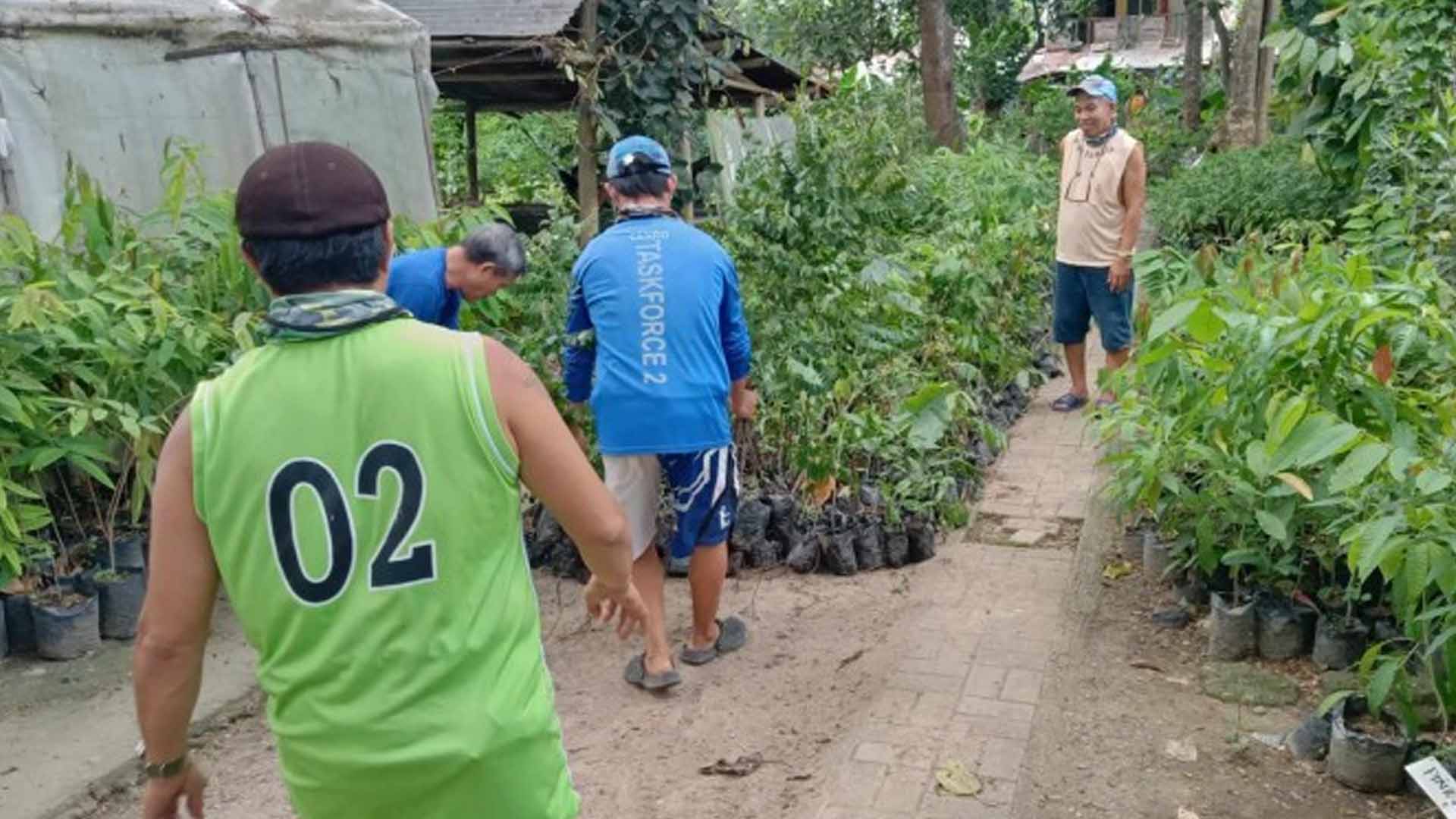 Over 3K Seedlings To Turn Iloilo Airport Gateway ‘Green’