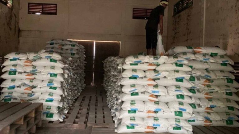 Agusan Del Norte Rice Farmers Get PHP760 Thousand Seeds From PhilRice