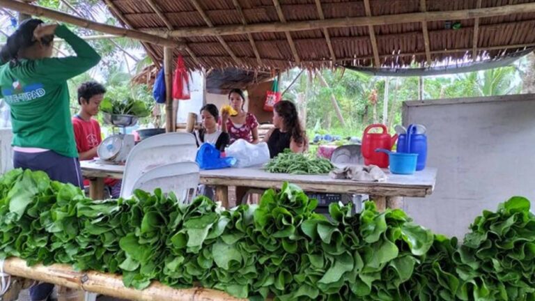 Department Of Agriculture To Extend Marketing Aid To Leyte Farmers