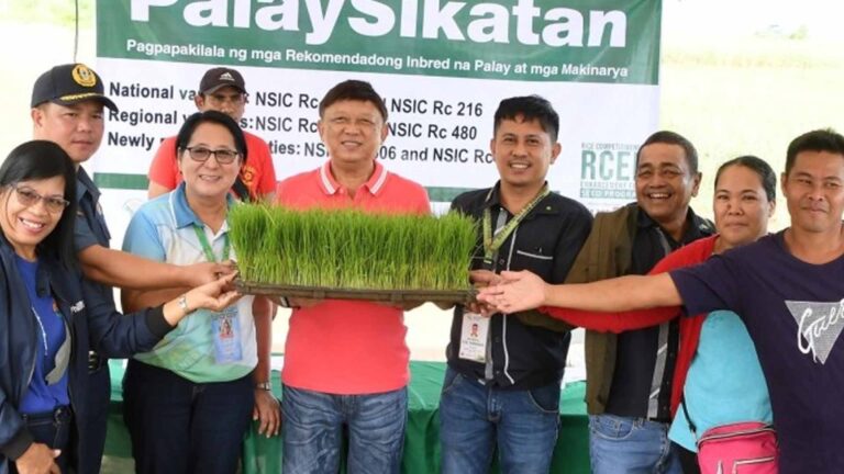 2 Negros Cities Pilot ‘PalaySikatan’ To Boost Rice Yield