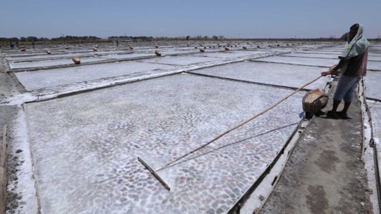 DA Works With Private Sector, Congress For Salt Industry Development