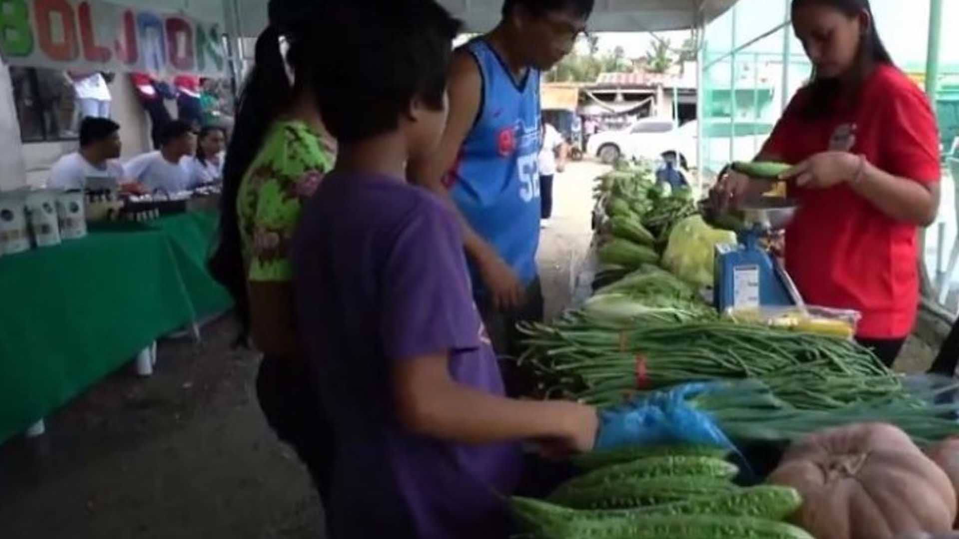 Cebu Holds Fusion Of Kadiwa Ng Pangulo, Serbisyo Caravan